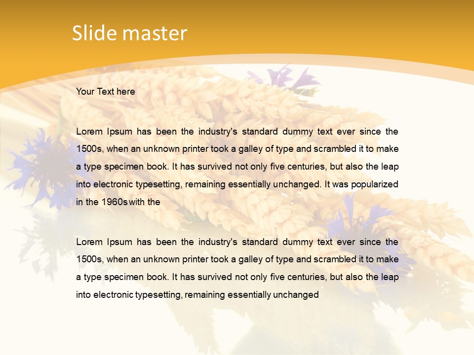 Cereals Ears Spikelet PowerPoint Template