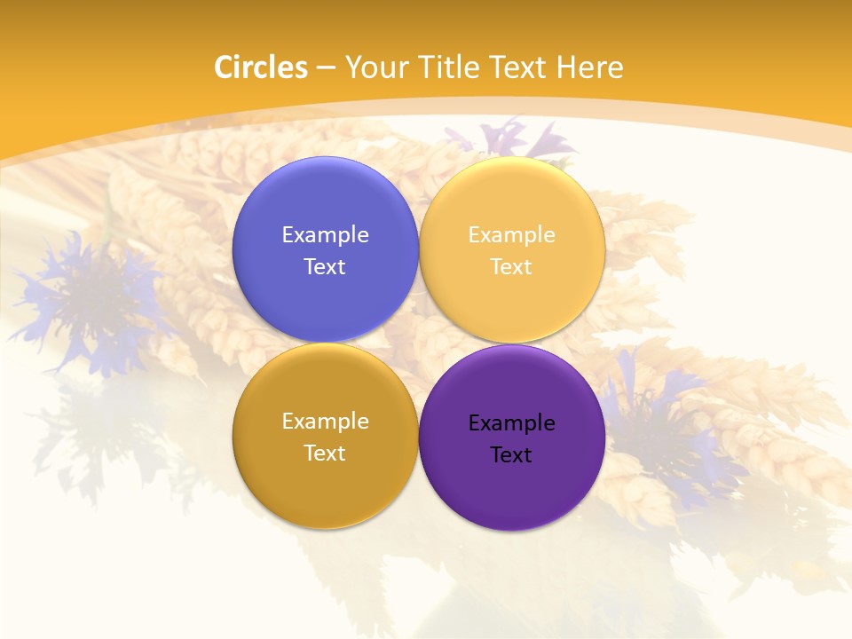 Cereals Ears Spikelet PowerPoint Template