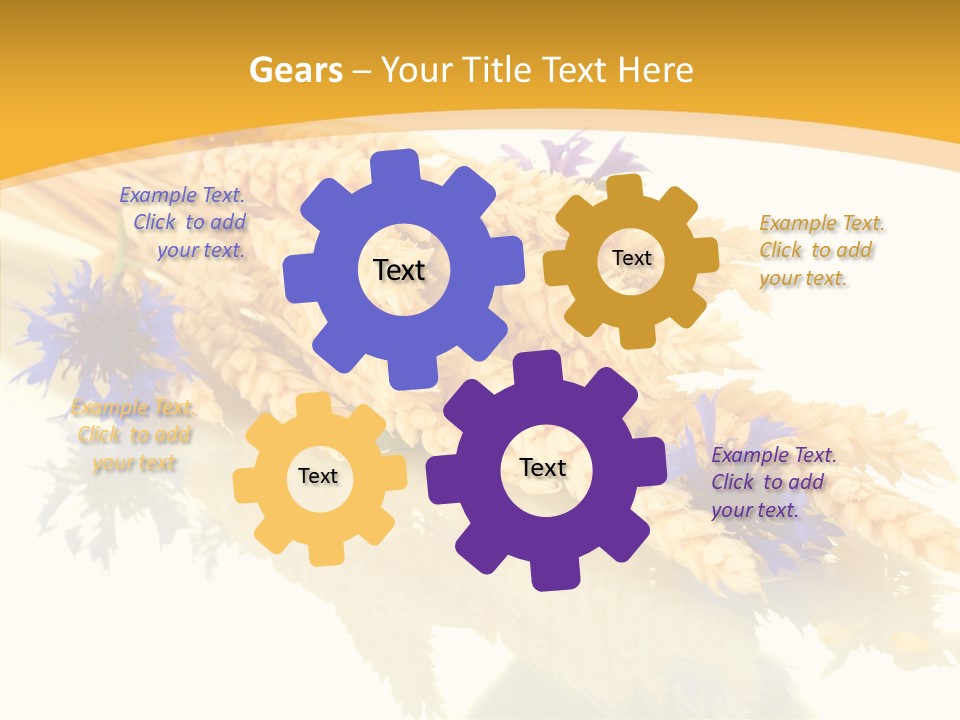 Cereals Ears Spikelet PowerPoint Template
