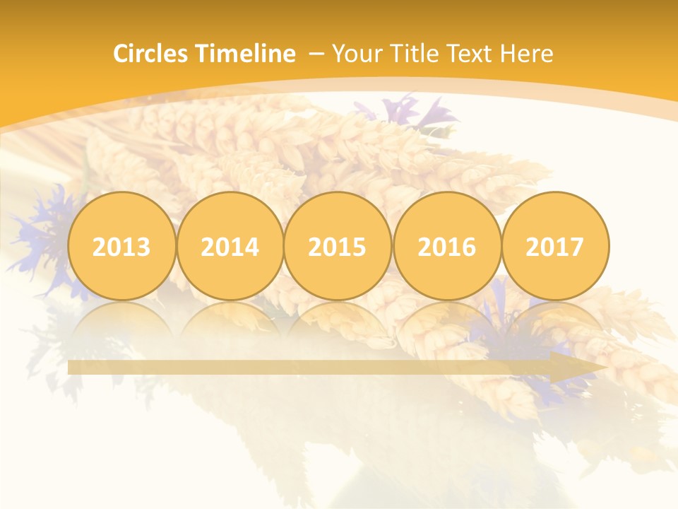 Cereals Ears Spikelet PowerPoint Template