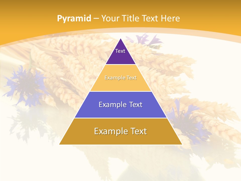 Cereals Ears Spikelet PowerPoint Template