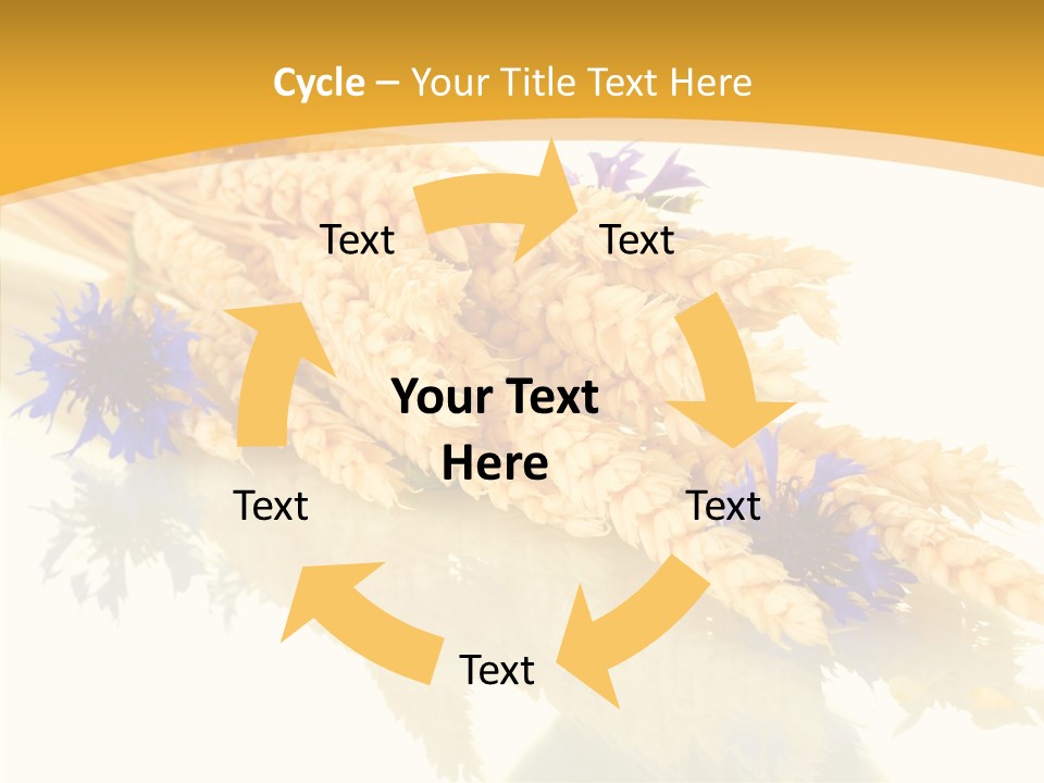 Cereals Ears Spikelet PowerPoint Template