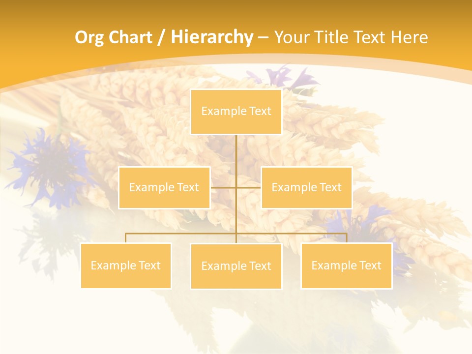 Cereals Ears Spikelet PowerPoint Template