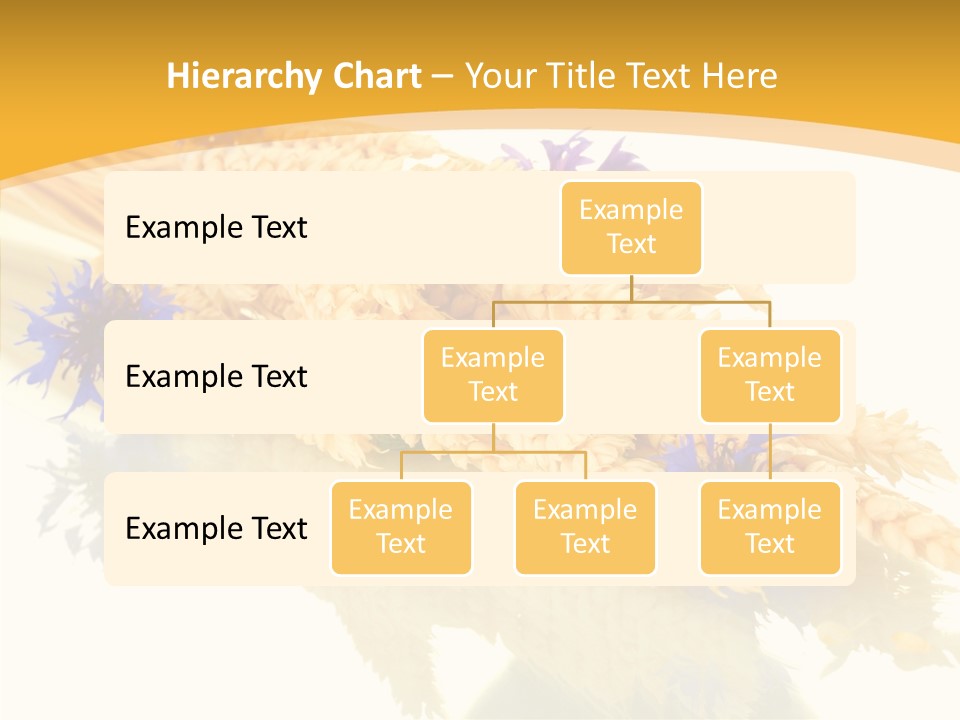 Cereals Ears Spikelet PowerPoint Template