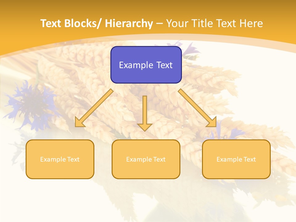 Cereals Ears Spikelet PowerPoint Template