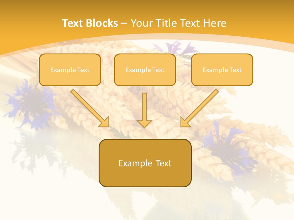 Cereals Ears Spikelet PowerPoint Template