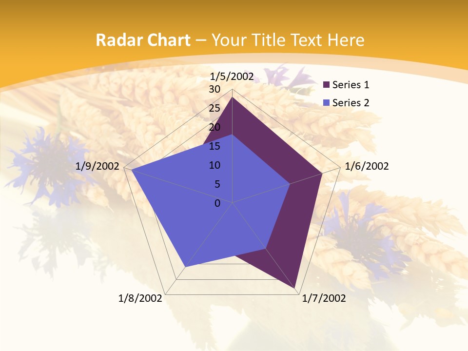 Cereals Ears Spikelet PowerPoint Template