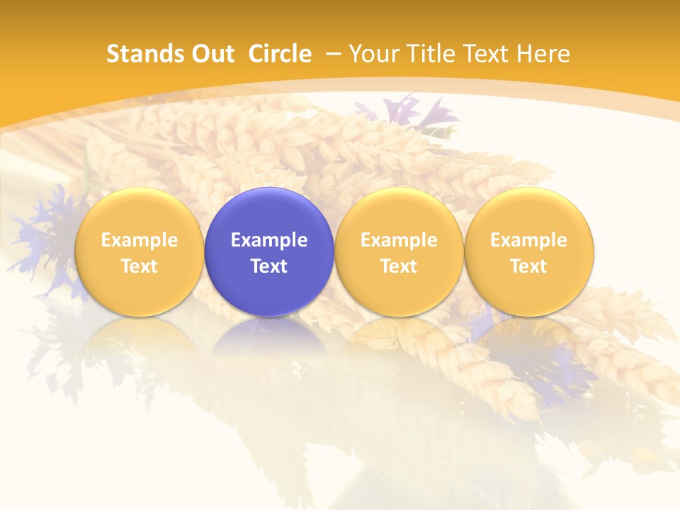 Cereals Ears Spikelet PowerPoint Template