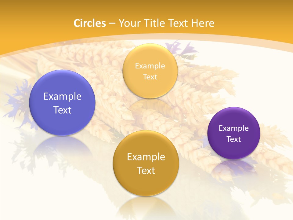 Cereals Ears Spikelet PowerPoint Template