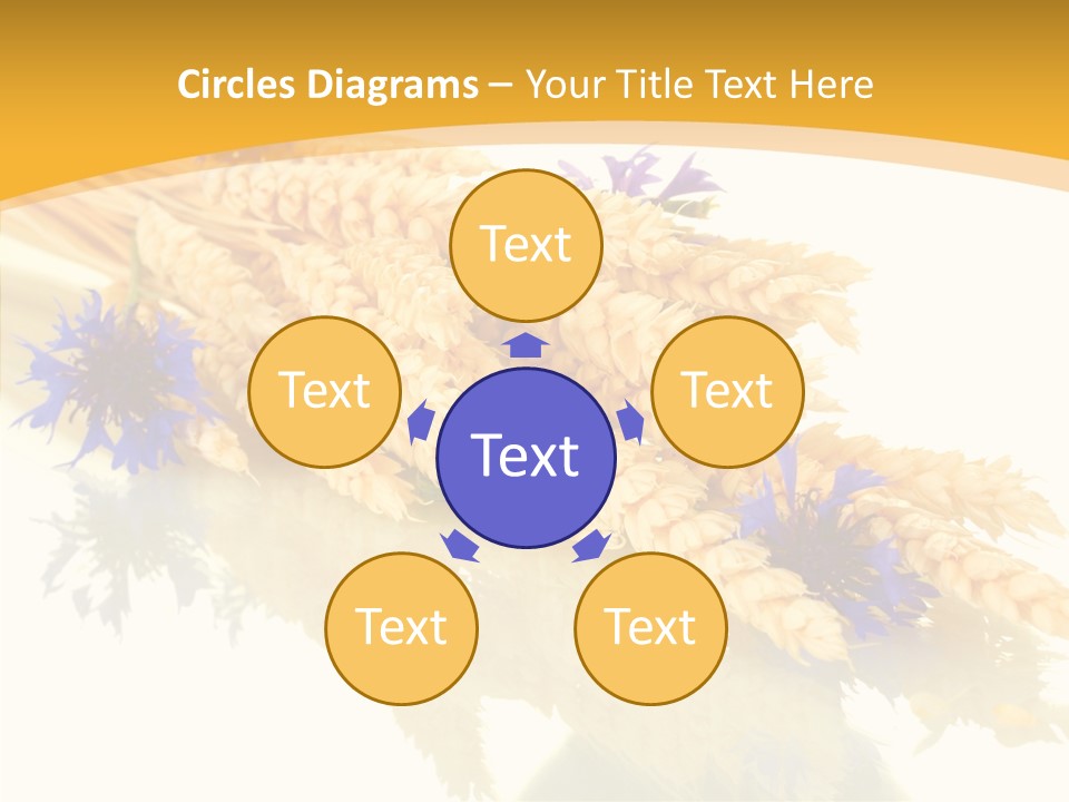 Cereals Ears Spikelet PowerPoint Template