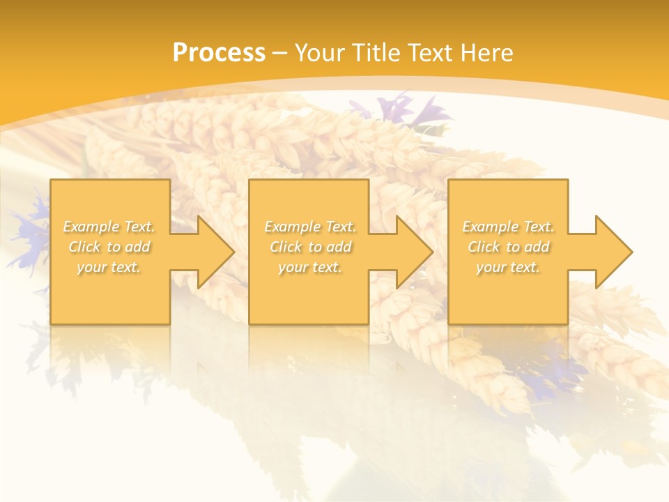 Cereals Ears Spikelet PowerPoint Template