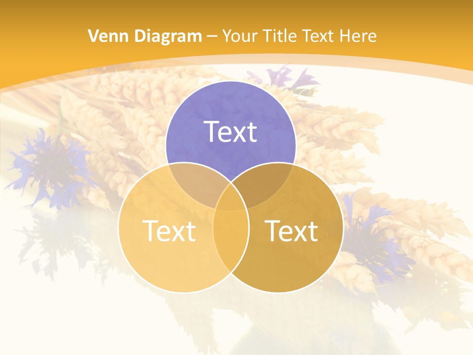 Cereals Ears Spikelet PowerPoint Template