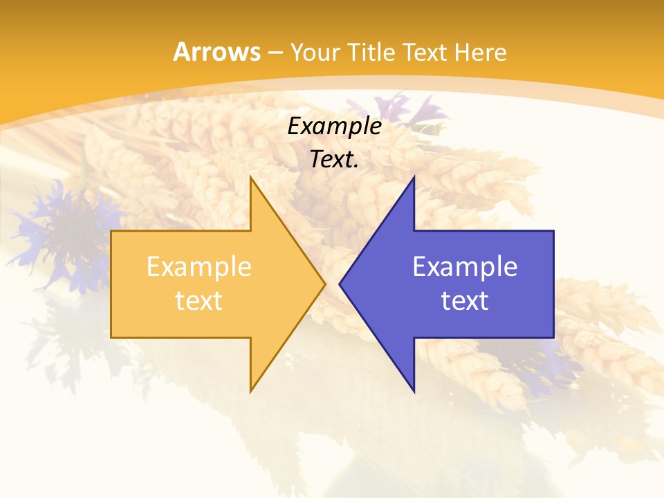 Cereals Ears Spikelet PowerPoint Template