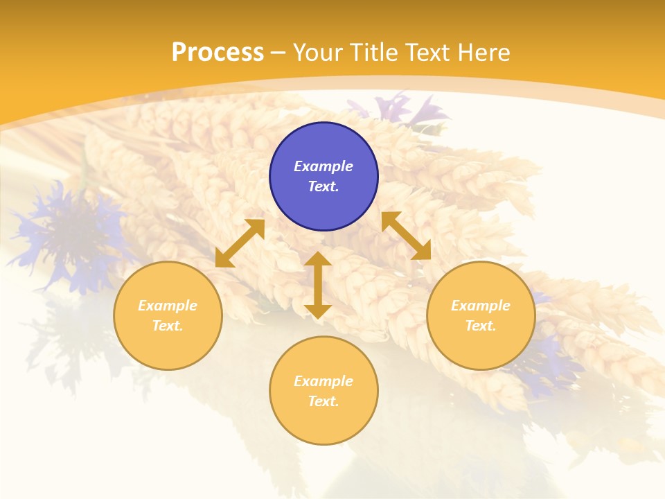 Cereals Ears Spikelet PowerPoint Template