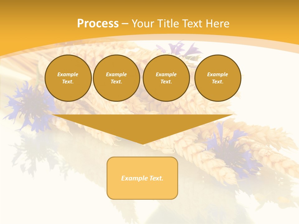 Cereals Ears Spikelet PowerPoint Template