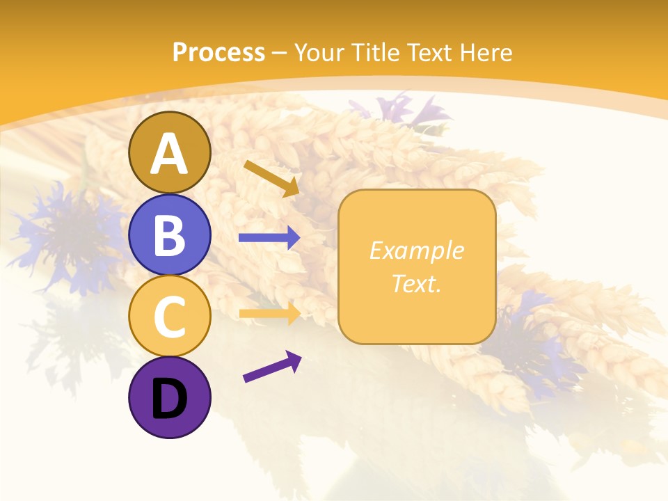 Cereals Ears Spikelet PowerPoint Template