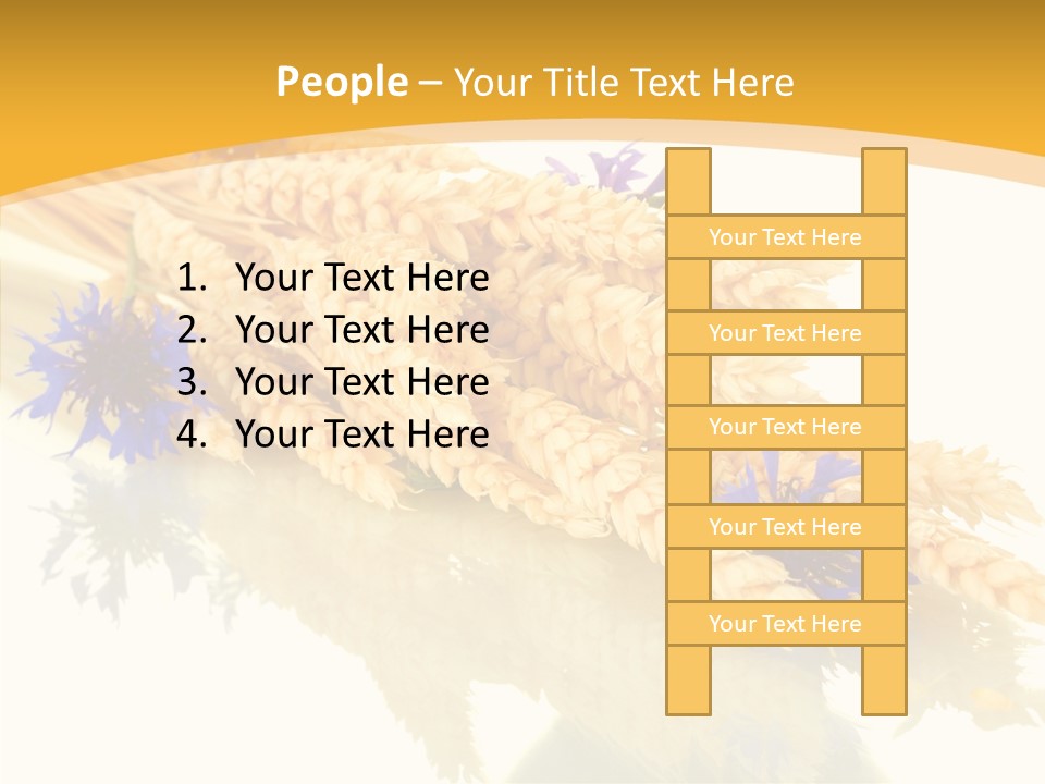 Cereals Ears Spikelet PowerPoint Template