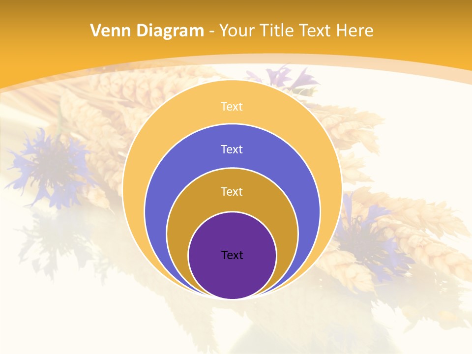 Cereals Ears Spikelet PowerPoint Template