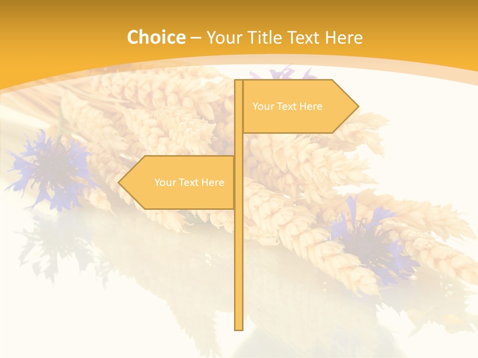 Cereals Ears Spikelet PowerPoint Template