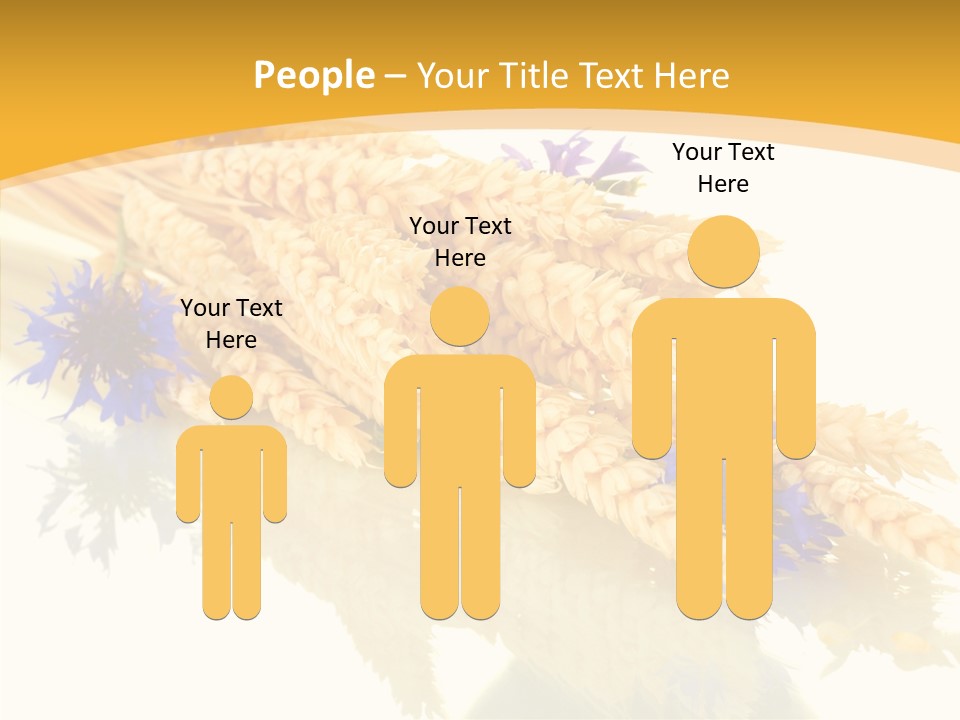 Cereals Ears Spikelet PowerPoint Template