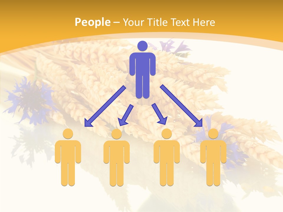 Cereals Ears Spikelet PowerPoint Template