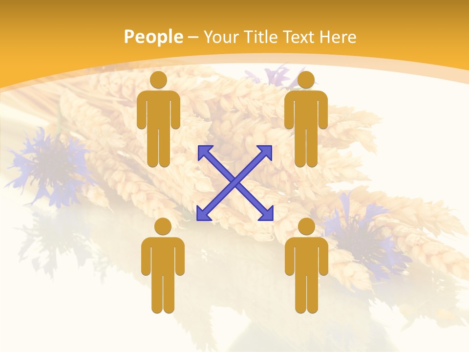 Cereals Ears Spikelet PowerPoint Template