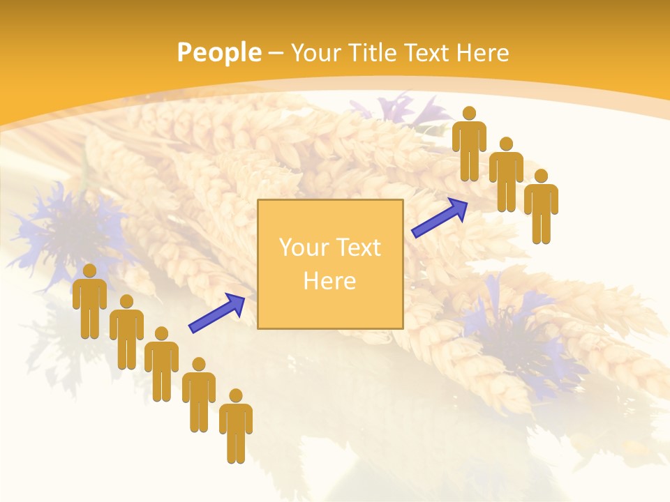 Cereals Ears Spikelet PowerPoint Template