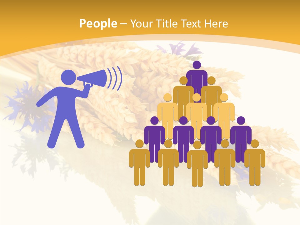 Cereals Ears Spikelet PowerPoint Template