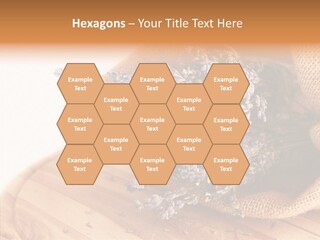 Healthy Bag Bloom PowerPoint Template