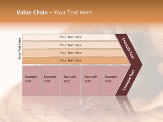 Healthy Bag Bloom PowerPoint Template