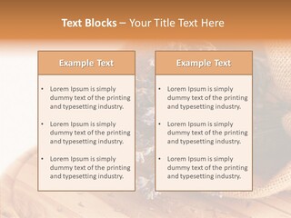 Healthy Bag Bloom PowerPoint Template
