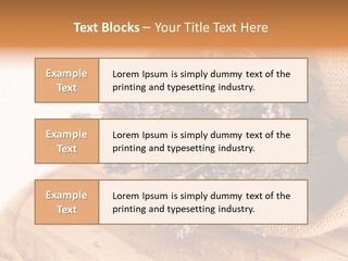 Healthy Bag Bloom PowerPoint Template