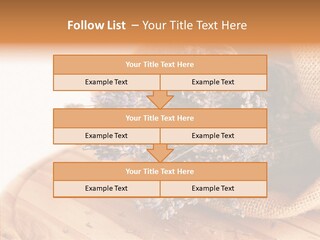 Healthy Bag Bloom PowerPoint Template