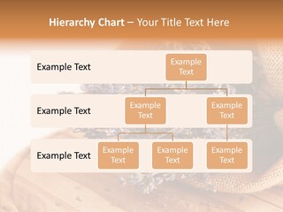 Healthy Bag Bloom PowerPoint Template