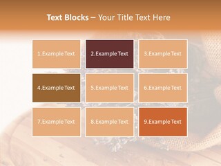 Healthy Bag Bloom PowerPoint Template