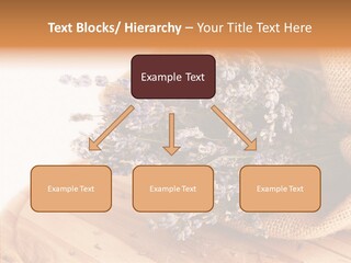 Healthy Bag Bloom PowerPoint Template