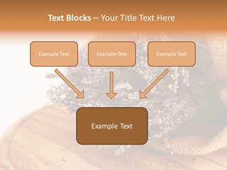 Healthy Bag Bloom PowerPoint Template