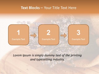 Healthy Bag Bloom PowerPoint Template