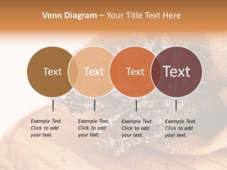 Healthy Bag Bloom PowerPoint Template