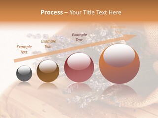 Healthy Bag Bloom PowerPoint Template