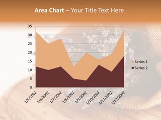 Healthy Bag Bloom PowerPoint Template