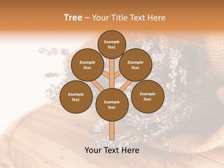 Healthy Bag Bloom PowerPoint Template