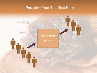 Healthy Bag Bloom PowerPoint Template