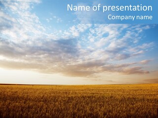 Colorful Rural Sunset PowerPoint Template