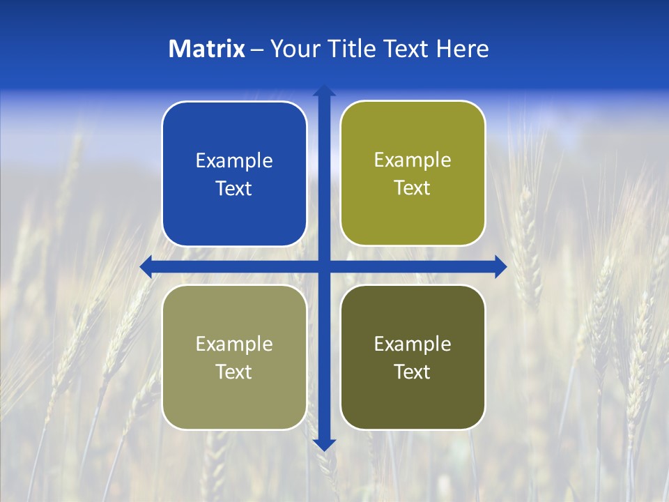 Healthy Whole Cereal PowerPoint Template