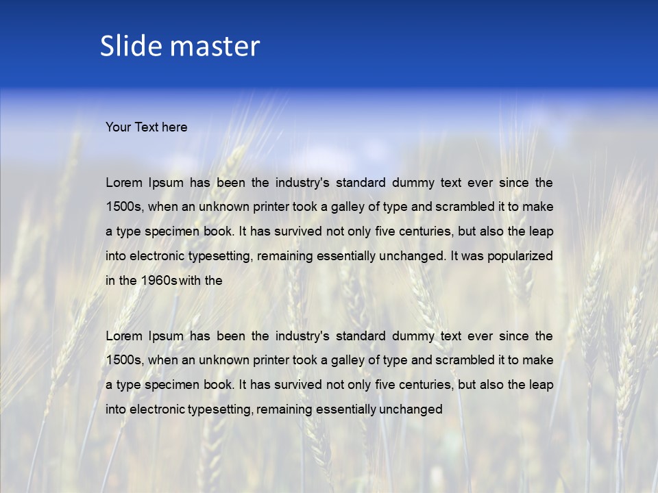 Healthy Whole Cereal PowerPoint Template