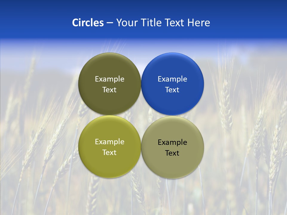 Healthy Whole Cereal PowerPoint Template