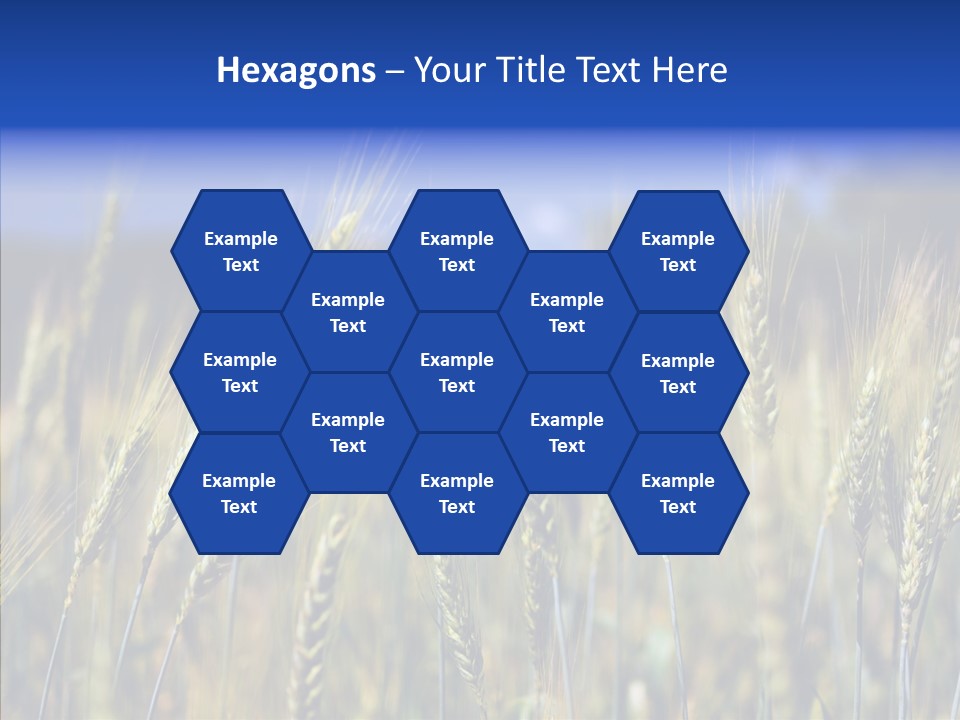 Healthy Whole Cereal PowerPoint Template