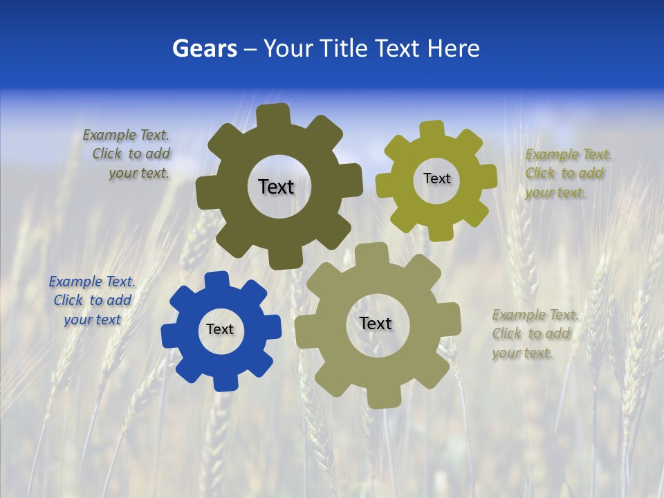 Healthy Whole Cereal PowerPoint Template