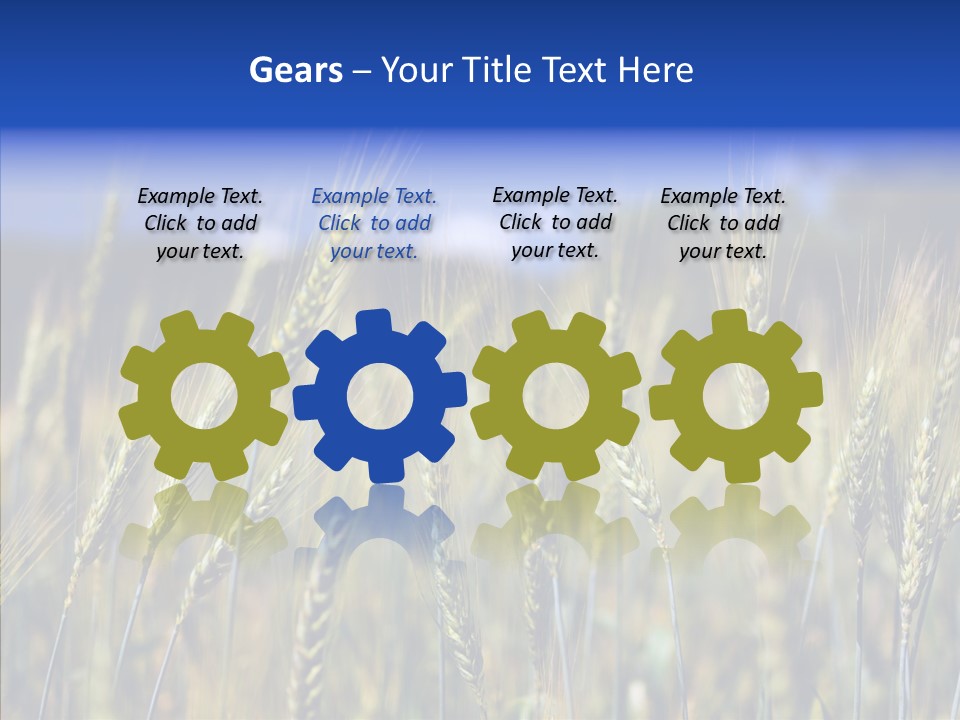 Healthy Whole Cereal PowerPoint Template